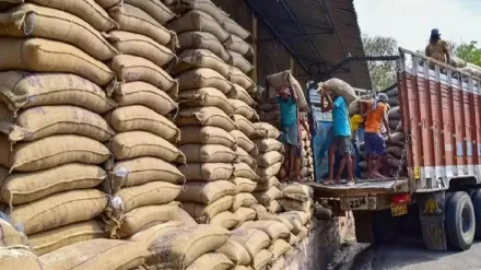 Food security, Global Food Security, Nutrition, Undernutrition, Cold war, China, Opinion
