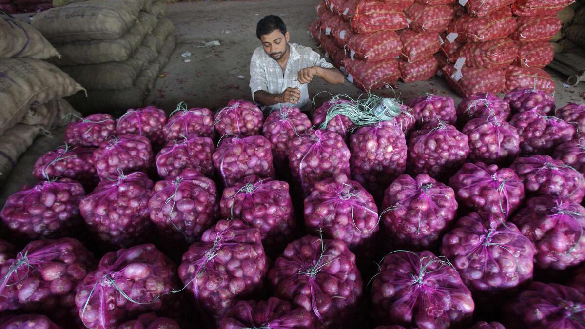 NCCF procures 2,826 tn onion from farmers for buffer stock; to scale up  buying in coming days | The Financial Express
