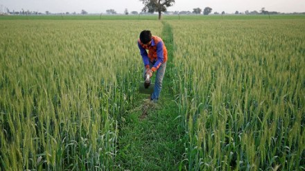 El Nino, monsoon, kharif crop, rural economy, manufactured products, food inflation, demand, consumption, import, export, high prices, interest rates, RBI, CPI inflation