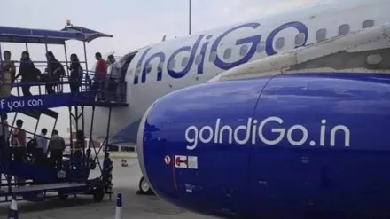 IndiGo, India's biggest airline, global, expansion, airline, civil aviation