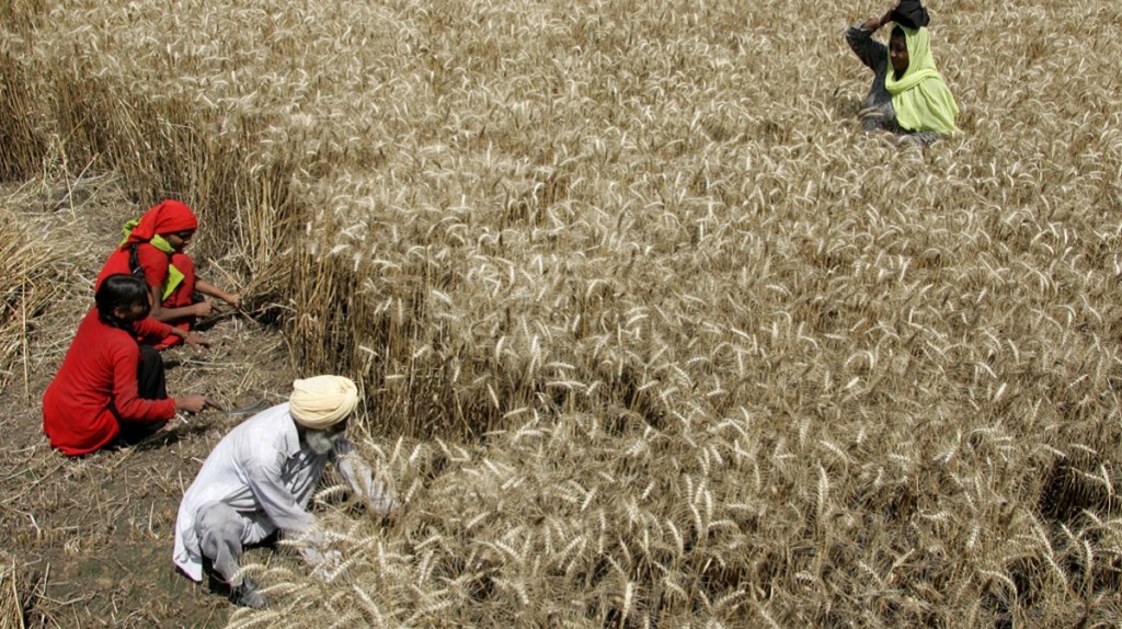 El Nino, monsoon, economy, livelihoods, crop output, exports, diesel subsidies, agriculture, power supply