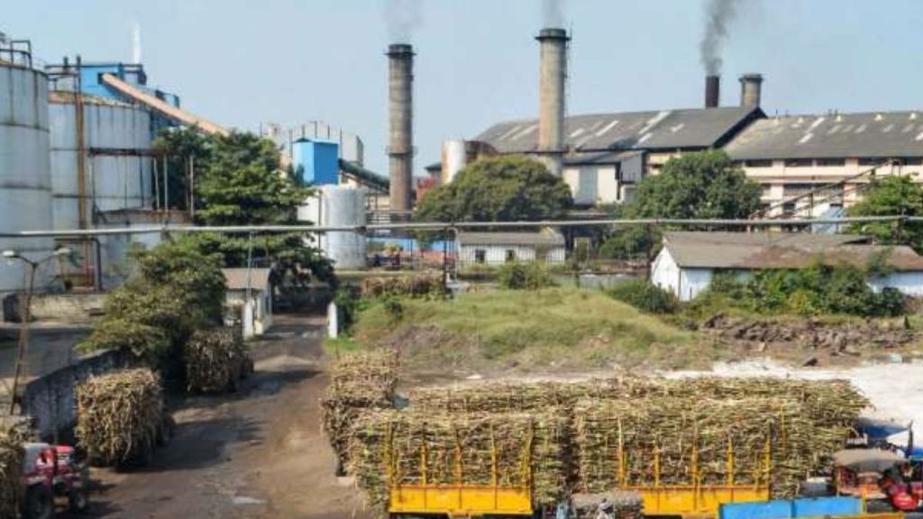 Sugar stocks rise as production drops due to unseasonal rainfall; Will