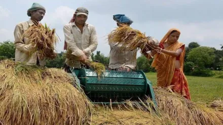 Farmers, Income, Labour, MGNREGA, Agriculture, Farmers Income, Economy