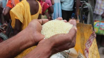 agriculture, agriculture sector