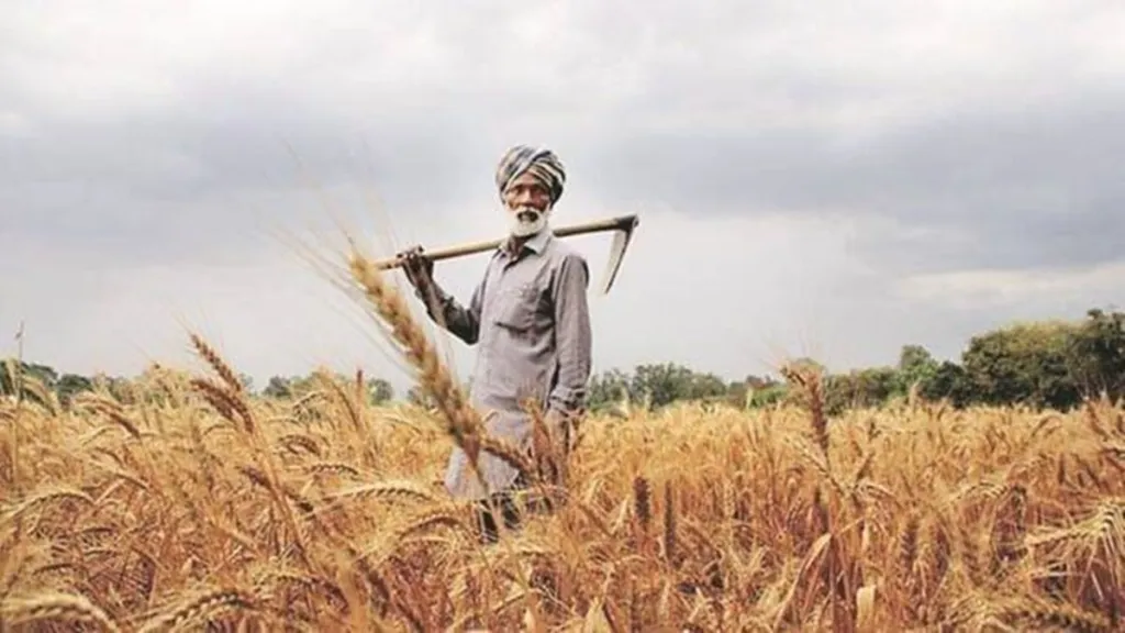 fasal bima, kharif