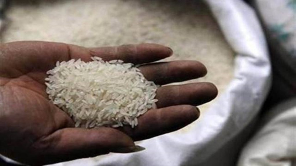 rice, rice exports