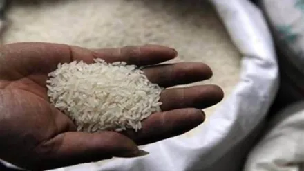 rice, rice exports