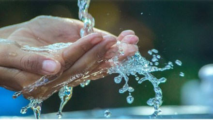 Vitamin B12, Vitamin B12 deficiency, RO water, RO System, health news, lifestyle news,