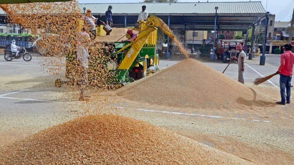 wheat procurement