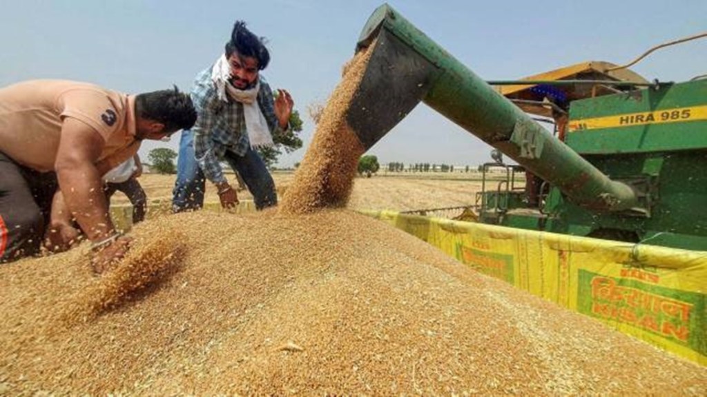 Wheat, MSP, wheat purchase, FCI, Wheat supply, Wheat demand, food ministry