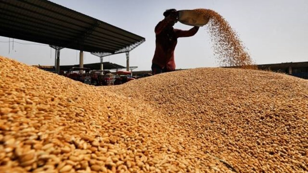 wheat, economy