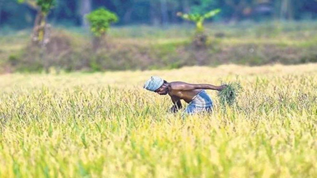 monsoon, economy, finance minister, National Monsoon Mission, data gathering, production, water shortages, abnormal monsoons, precipitation, forecast