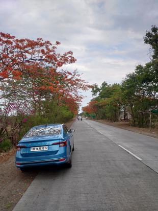 Travel to Mandu: A lot of history in a little geography 2 Mandu roads 1