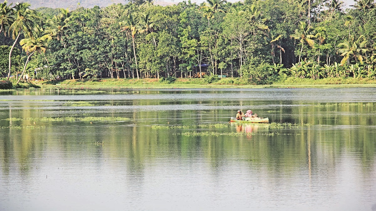 Book Review | ‘What The Rains Foretold’ by N Mohanan – The fascinating folk tale of Vararuchi