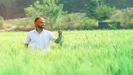 farmer producer organisation, fpo, entrpreneurs, entrepreneurship, funding, agriculture, agri entrepreneurs, rural entrepreneurs, fpo in india, farmer members