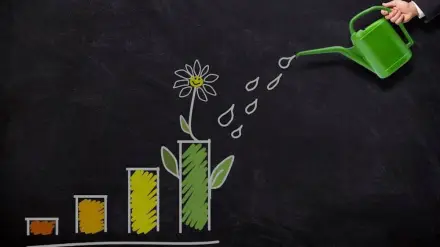 SIP calculation with 5% step up