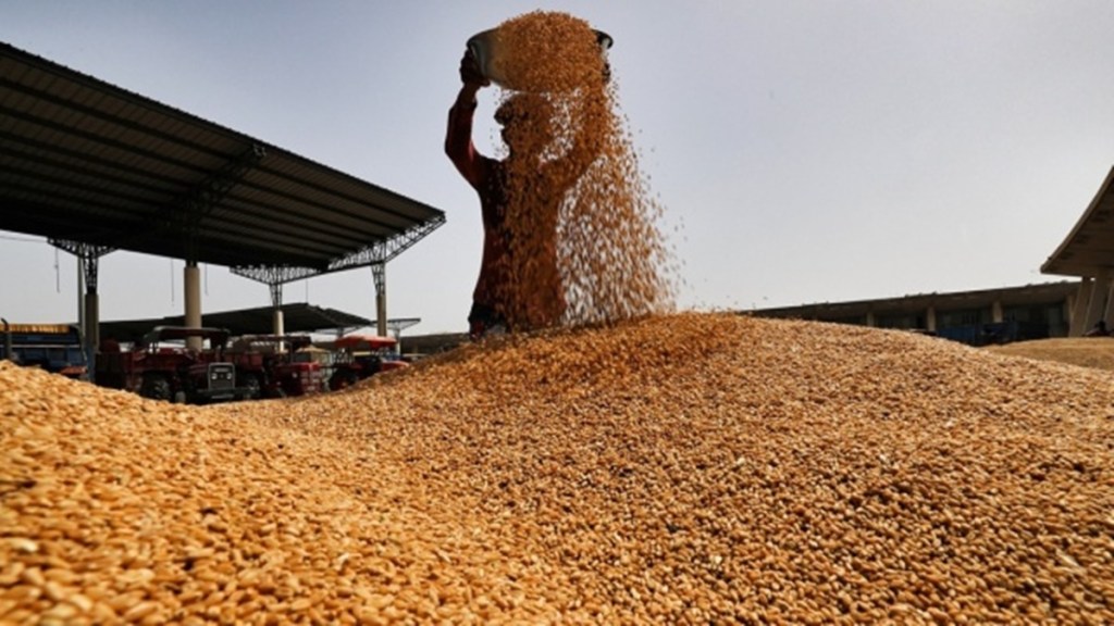wheat, export risks, Russia mutiny, deal, Black Sea ports, political implications, global market, Black Sea grain deal