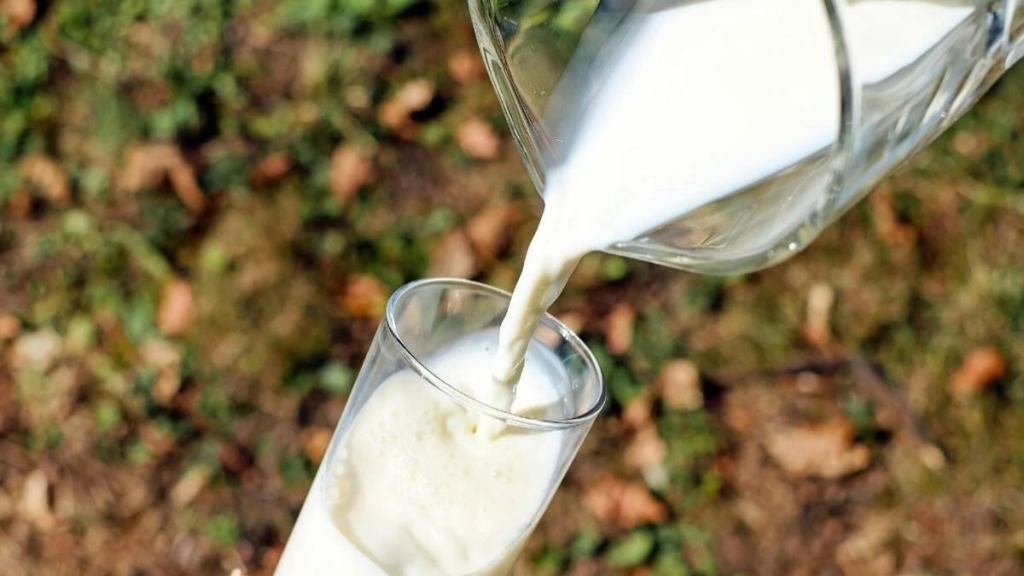 milk, retail inflation in milk, milk price,