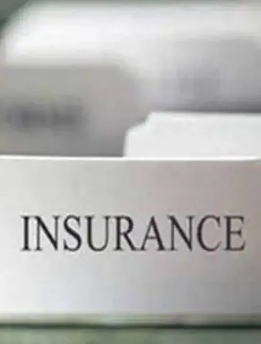 insurance industry, life insurance, premium, APE, group single premiums, private companies, ULIPs, HDFC Life, SBI Life, LIC, Max Life, ICICI Prudential Life, VNB growth