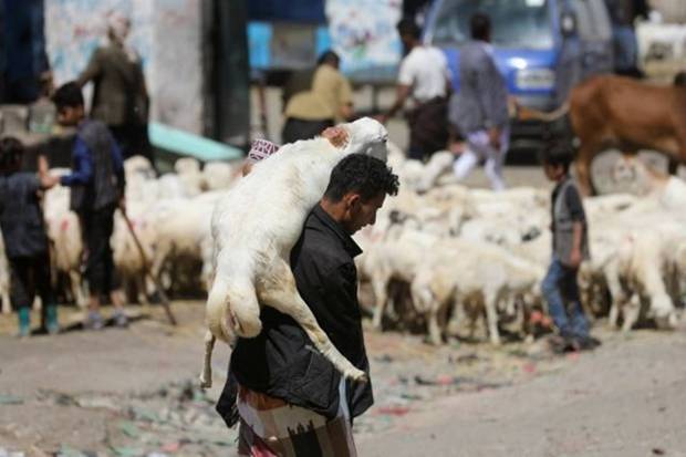 A man carries a sacrificial animal at a livestock market as Yemenis are left compelled between the choice of purchasing new clothing for their children or buying sacrificial animals for the Eid al-Adha celebrations amid an economic crisis, in Sanaa, Yemen. REUTERS