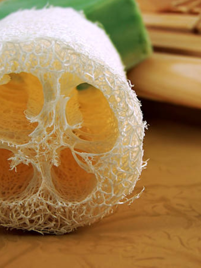 Loofah is harmful for your skin Here’s why Healthcare News The