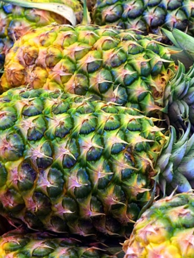 Is Pineapple healthy? Know all about its benefits and sideeffects