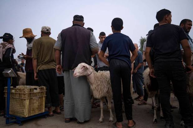 Vendors wait for customers as people look to buy sheep at a livestock market in preparation for the upcoming Muslim Eid al-Adha holiday, east of Gaza City. (AP Photo)