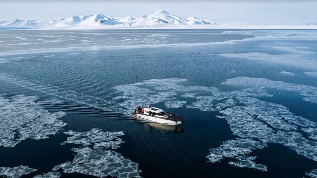 The Arctic