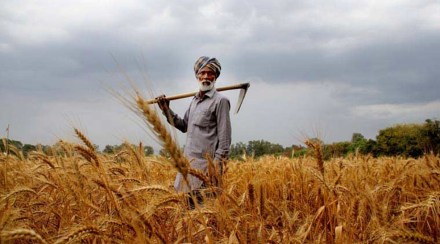 agriculture, economy