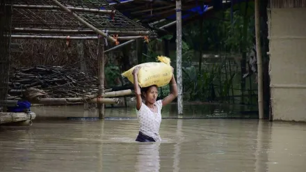 assam, flood situation, grim rivers, above red mark