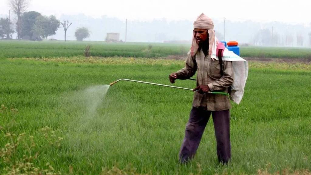 fertiliser schemes