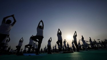 Importance and Benefits of Yoga: Yoga Asanas (postures) increase joint mobility, muscular tone, and general body strength.