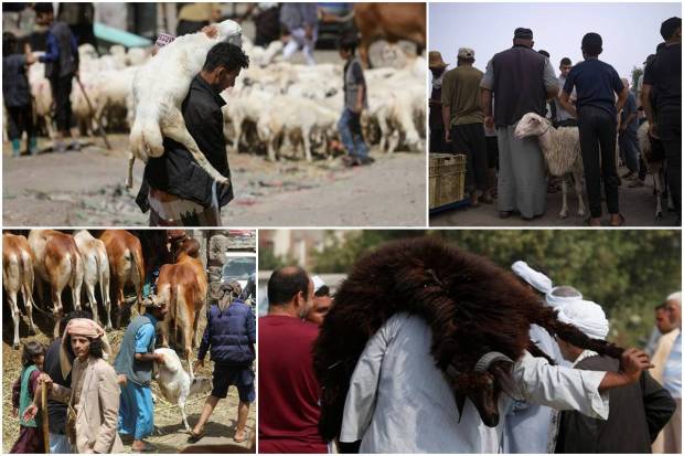 Here are some photos from around the globe that provide a sneak peek into how the preparations are going on. Have a look: