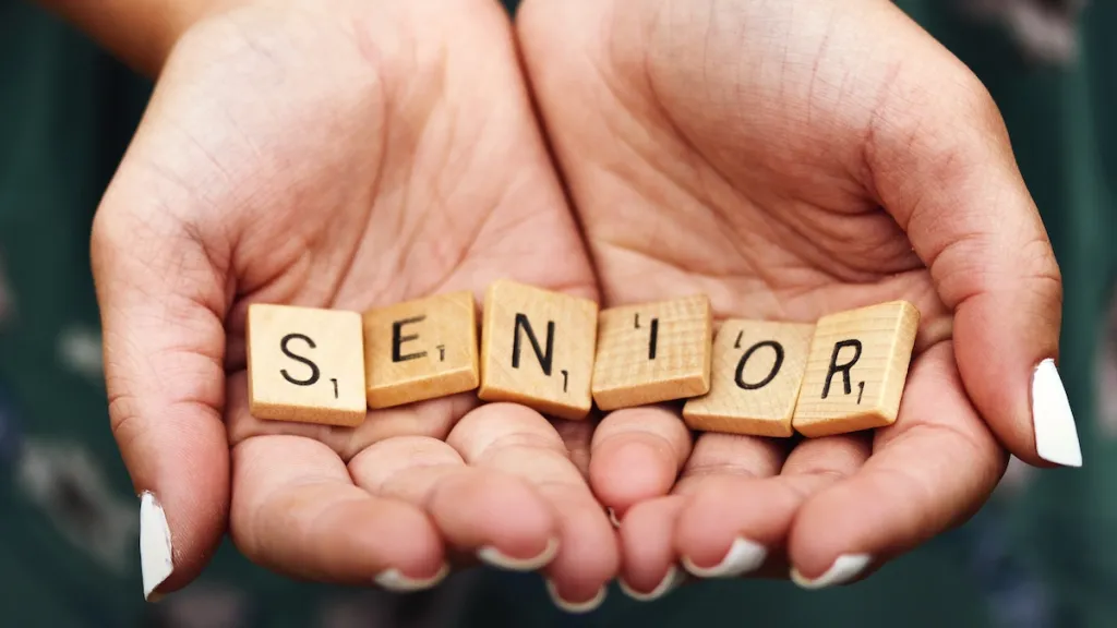 what is senior living home