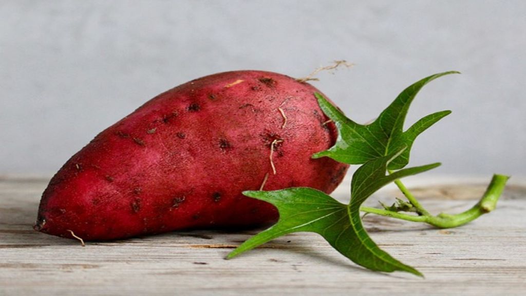 Are sweet potatoes healthy? Know all about this vegetable's benefits