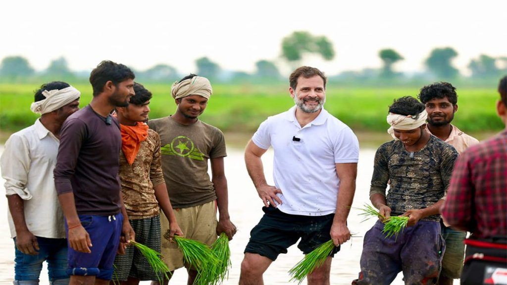 Rahul gandhi
