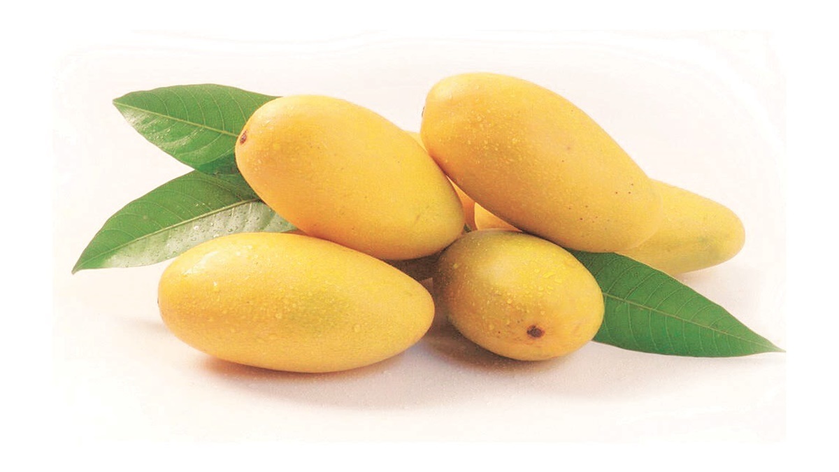 Mango myths Are mangoes high in sugar and do they cause weight gain