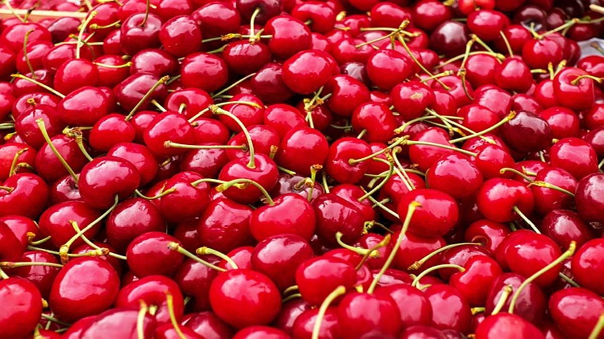 Is cherry healthy? Know its benefits and sideeffects Health News