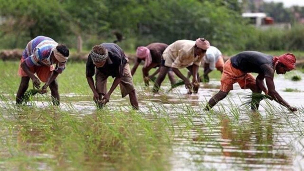 farmers income, agriculture