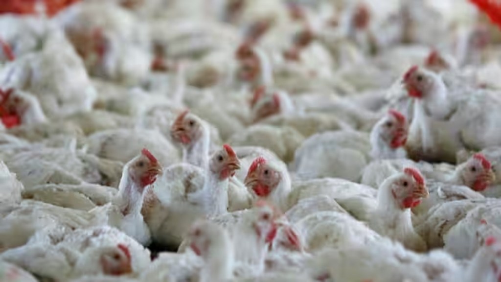 NIA investigation| poultry farm in ISIS conspiracy case|
