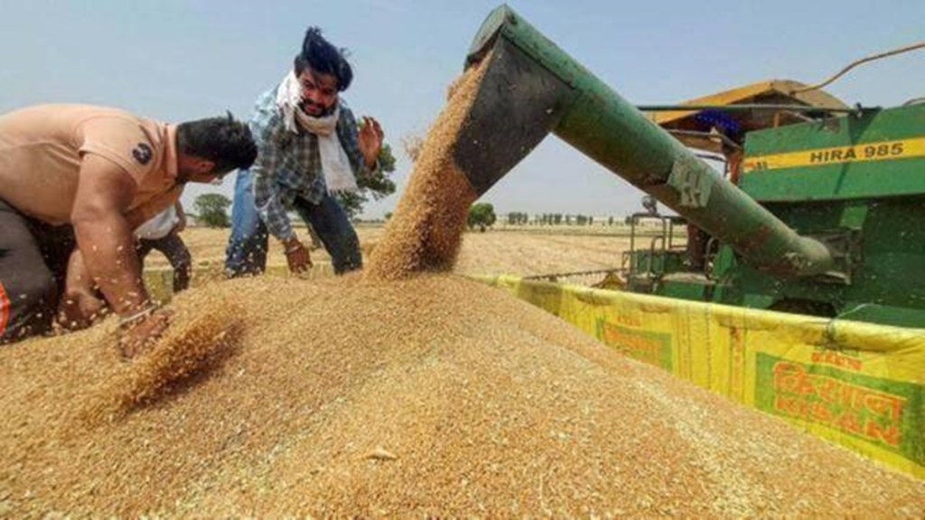 rice, wheat