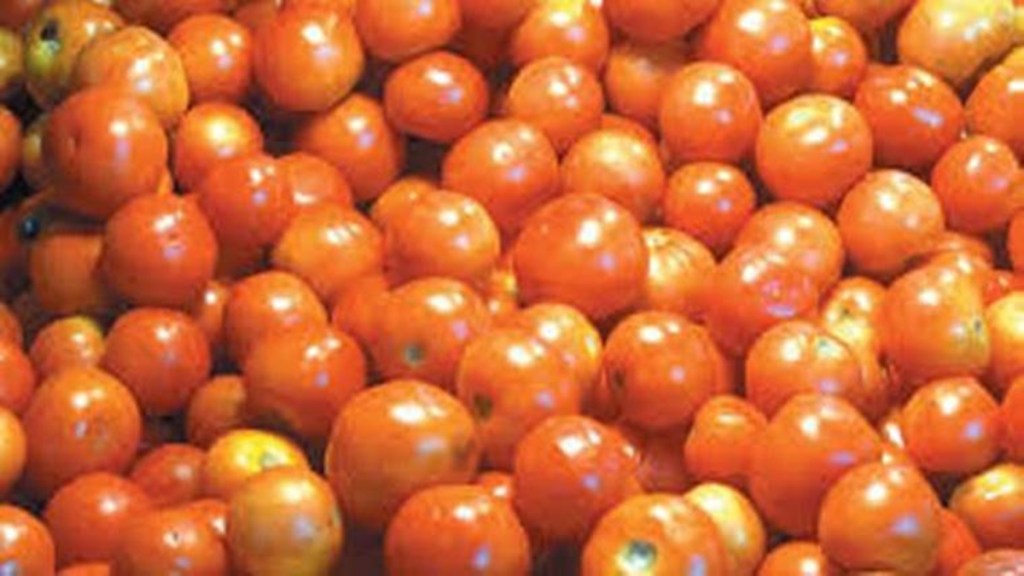 tomato, commodities