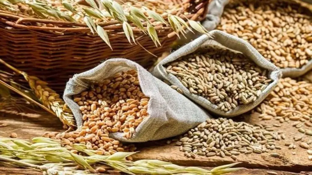 wheat, FCI