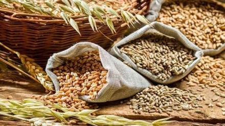 wheat, FCI