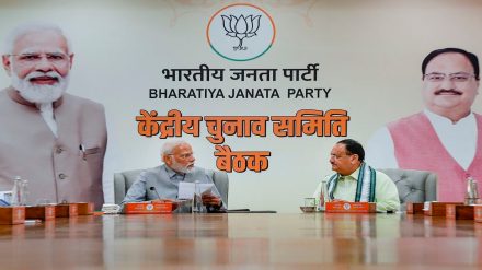 BJP, MP
