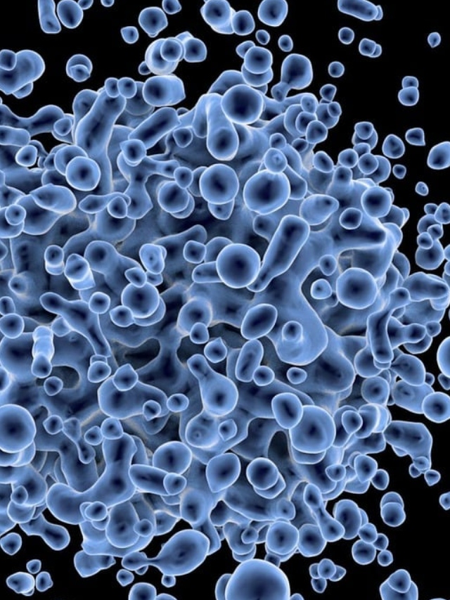 All you need to know about Powassan Virus Healthcare News The