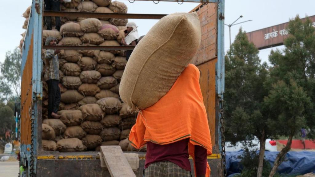 rice, rice exports, economy, economy news, trade, import, export