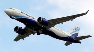 Indigo shares