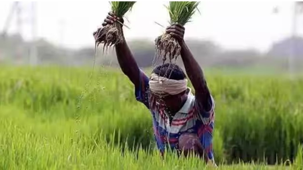 farm, economy