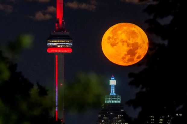 The August Super Blue Moon sets behind the CN tower in Toronto on Wednesday August 30, 2023. The moon is at it's closest 2023 approach to earth and will be full just after moonrise tonight. (AP/PTI)